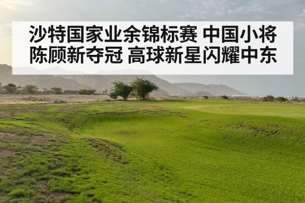 沙特国家业余锦标赛 中国小将陈顾新夺冠 高球新星闪耀中东